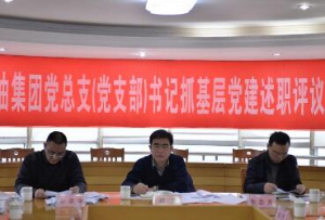 欧博官网-欧博召开2016年度党总支（党支部）书记抓基层党建述职评议考核大会