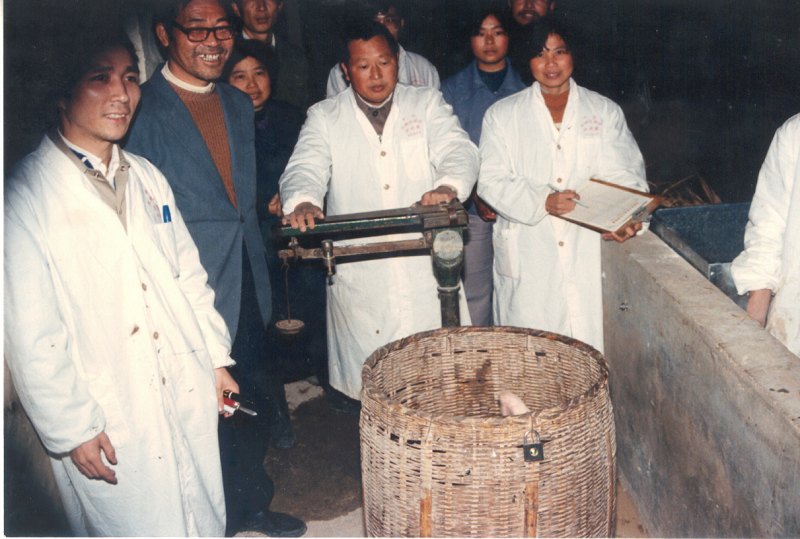 图片4.png 图片4.png