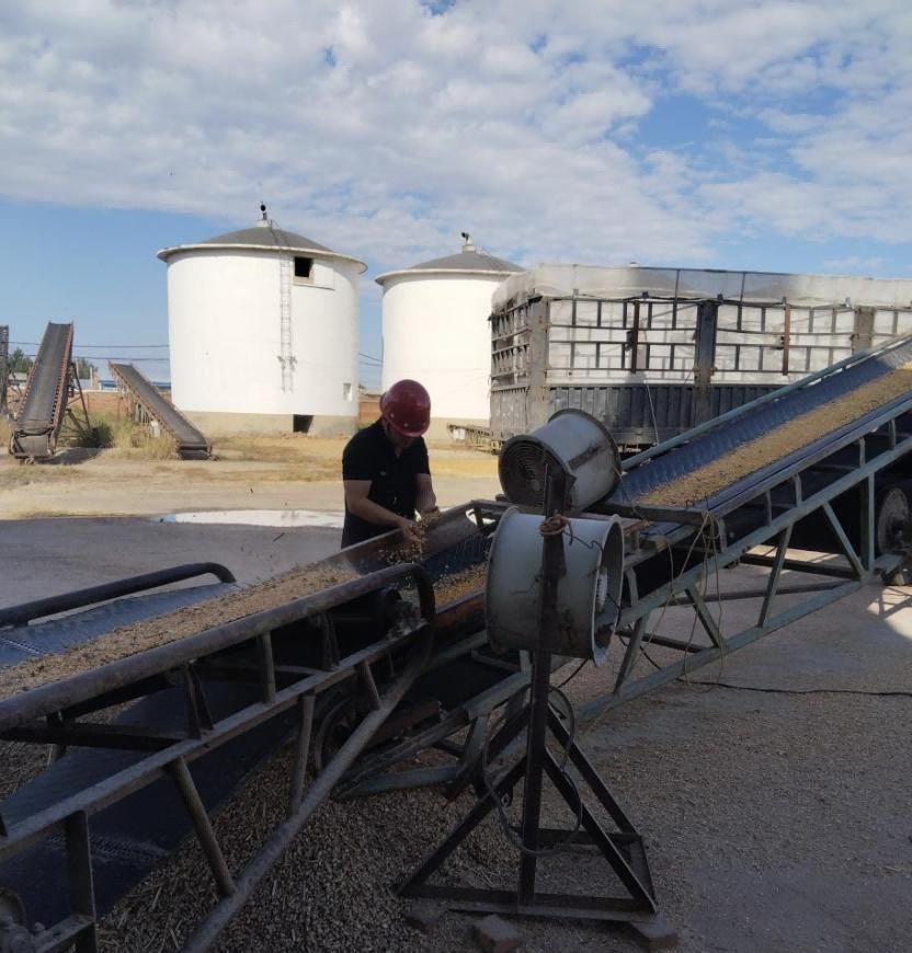 图片 2.png 图片 2.png