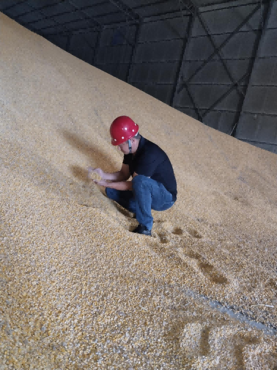 图片 4.png 图片 4.png